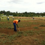 uitvlugt-instant-lawn