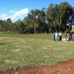 uitvlugt-instant-lawn