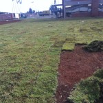 uitvlugt-instant-lawn