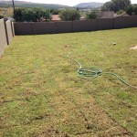 uitvlugt-instant-lawn