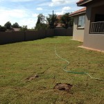 uitvlugt-instant-lawn