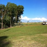 uitvlugt-instant-lawn