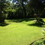 uitvlugt-instant-lawn