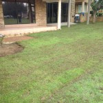 uitvlugt-instant-lawn