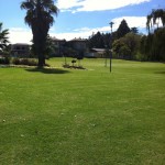 uitvlugt-instant-lawn