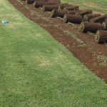 uitvlugt-instant-lawn