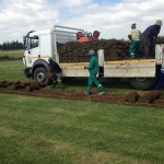 uitvlugt-instant-lawn