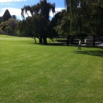 uitvlugt-instant-lawn