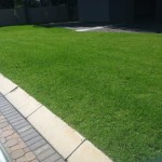 uitvlugt-instant-lawn