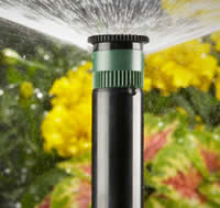 uitvlugt-instant-lawn-irrigation