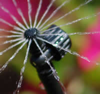 uitvlugt-instant-lawn-irrigation