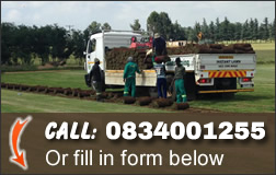 Uitvlugt Instant Lawn